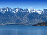 Matakauri Image