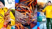 harbour_fisherman