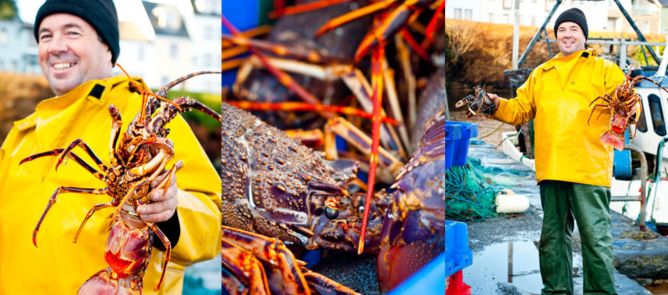 harbour_fisherman