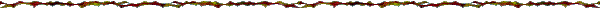 border design
