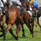 Melbourne Cup 2015