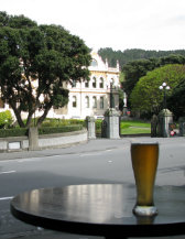 IMG 4119(copy)