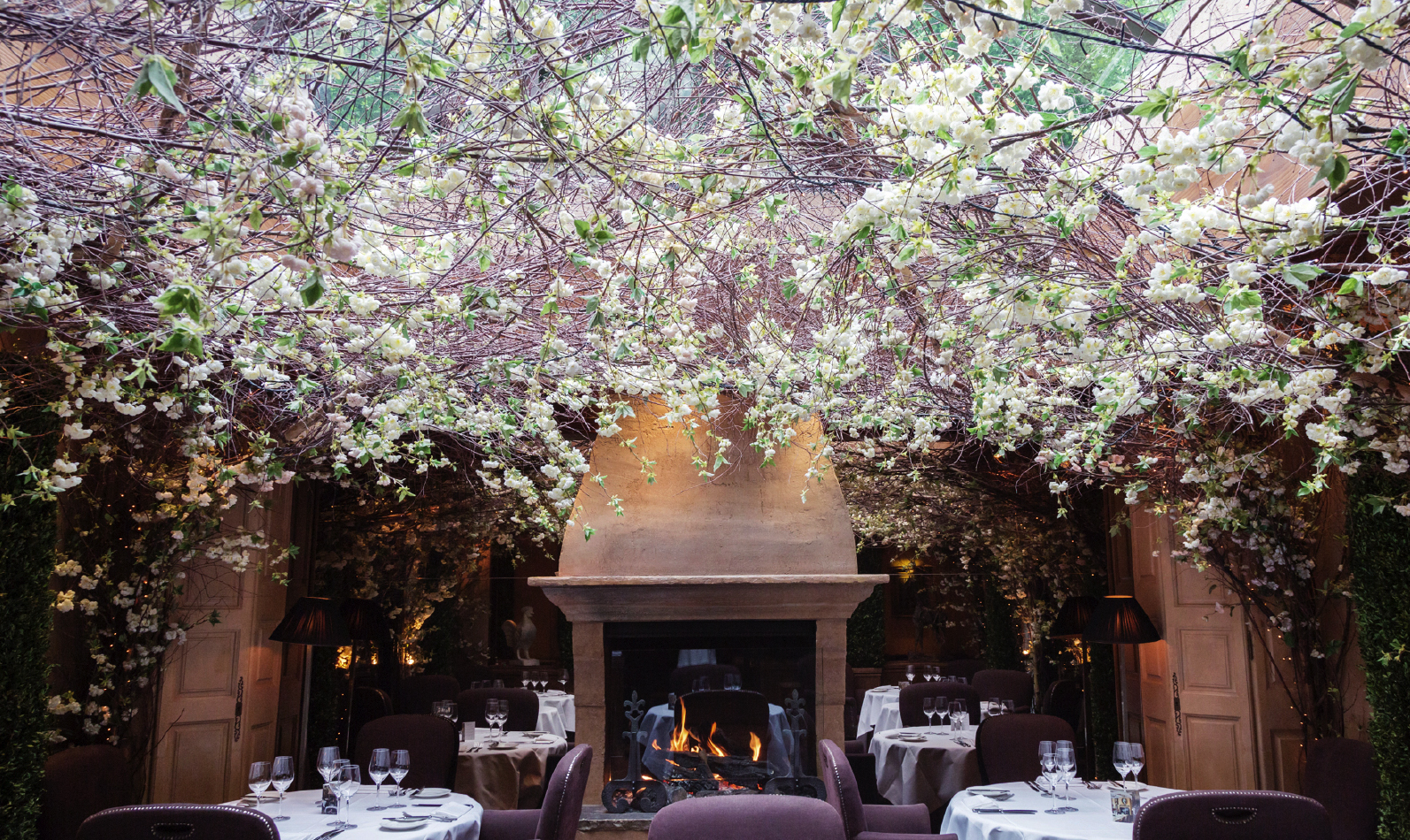 Clos Maggiore Scene