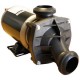Jacuzzi® Sundance® Spas - J PUMP 230 volts. 1-speed. 5.7 Amp. 3450 rpm - 2500-250, F569000