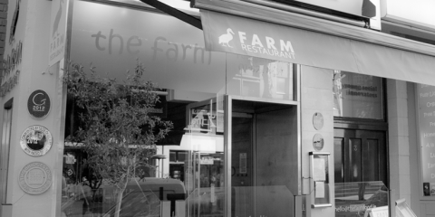 The Farm Restaurant Dawson st Dublin