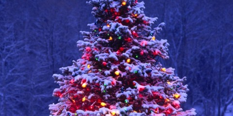Christmas-Tree