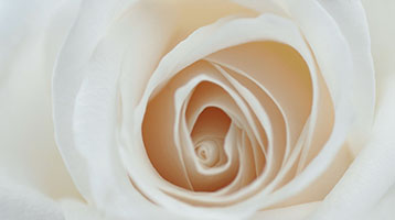 Shop for Gift Vouchers