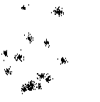 dim032