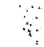 dim064