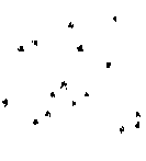 dim128