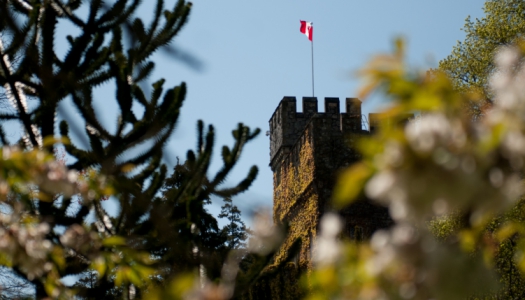 Image of Hatley Castle through the trees Castle through the trees. Canadian flag flapping in the wind.