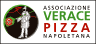 VPNlogo VPN Logo