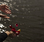 Members of Spain¿s gypsy community throw flower petals into the Manzanares river, symbolizing the departure of their ancestors from India and their exodus across the world during an event in memory of the Roma victims of the Nazi Holocaust in Madrid, Spain, Wednesday, April. 8, 2015. Spanish groups representing gypsies have launched a campaign to remove a reference to them as swindlers from the world¿s benchmark Spanish dictionary. Foundation spokeswoman Pilar Calon says the effort attempts to raise awareness of discrimination against gypsies, also known as Roma. Spain has about 750,000 people of Roma heritage. (AP Photo/Andres Kudacki)