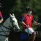 prince harry 5
