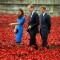 01 poppies 0805