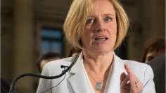 It’s left to the NDP to provide the only real opposition, and we all know the chance of the wonderfully earnest Rachel Notley being premier is akin to the Oilers making the playoffs, says Chris Nelson.