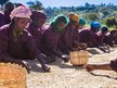 Women hand sorting at a washing station in Guji, Ethiopia. (Photo by Mark Corpus)