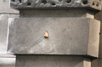 The nose of Napoleon, Admiralty Arch
