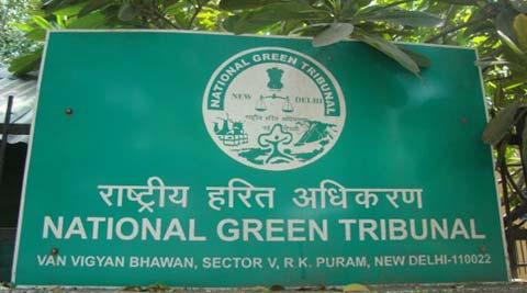 NGT, sanjay gandhi park, mumbai sanjay gandhi park, sanjay gandhi park construction, mumbai news